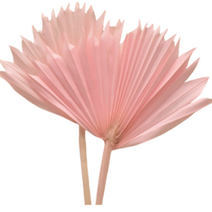 Pink Palm Tree Leaves | Dried Flower Supplies